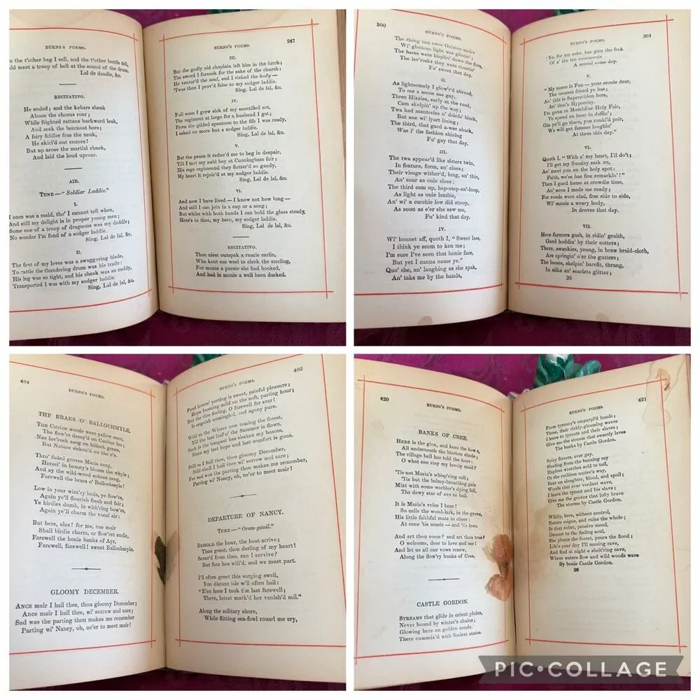 1881 The Poetical Works of Robert Burns, Antique Poetry Book, T. Y. Crowell